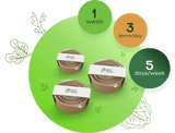 Plant Power Meal Plan