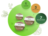 Plant Power Meal Plan