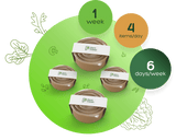 Plant Power Meal Plan