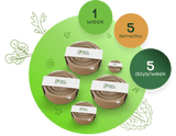 Plant Power Meal Plan