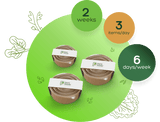 Plant Power Meal Plan