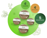 Plant Power Meal Plan